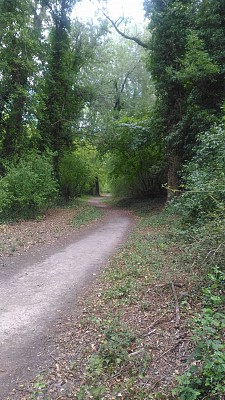 Sentier sur l'Islon Saint Luc