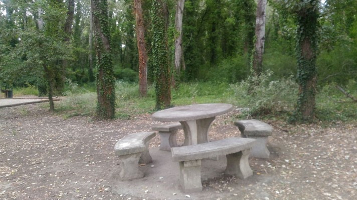 Sentier sur l'Islon Saint Luc
