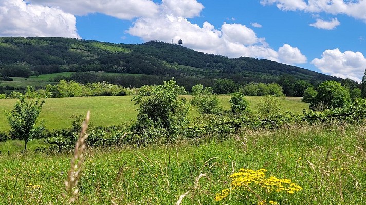 Monts du Lyonnais