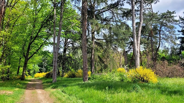 Parc