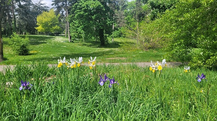 Parc