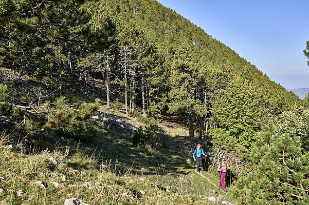 BÉDOIN - Les crêtes du Mont Ventoux