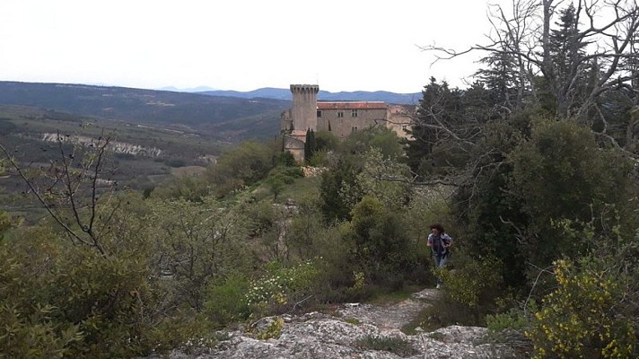 Château de Viens depuis le Travers de Pierroux