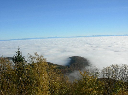 Centre Marcel Rudloff à Châtenois (67) : Boucle du Hahnenberg