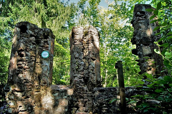 Sentier botanique du Seelberg