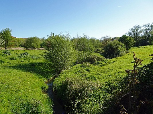 ruisseau