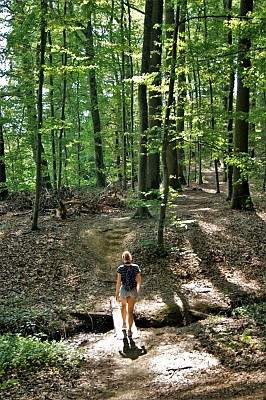 Circuit de l'Arbre Éléphant