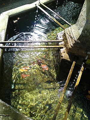 fontaine st martin de londres @ Gilles Delerue