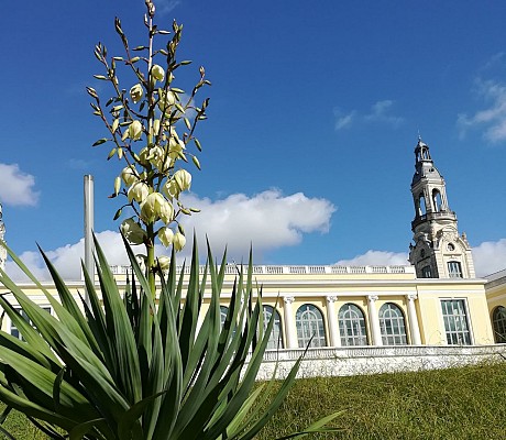 Parc Beaumont - Pau - le Palais beaumont