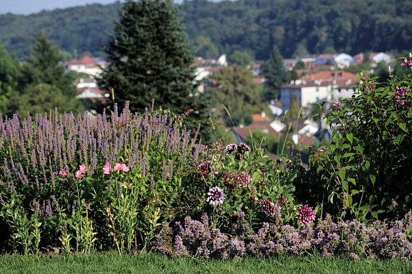 Parc Beaumont - Pau - massifs de fleurs