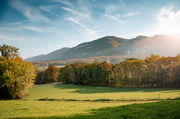 Vue sur le Salève depuis le sentier des Graniteurs - Charly