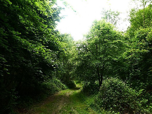 Du Peney au bois de Mingrey (Saint-Gilles)