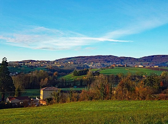 Paysage