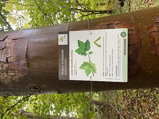 Sentier botanique