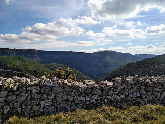 forêt de parlatges depuis st pierre de la fage @ Gilles Delerue