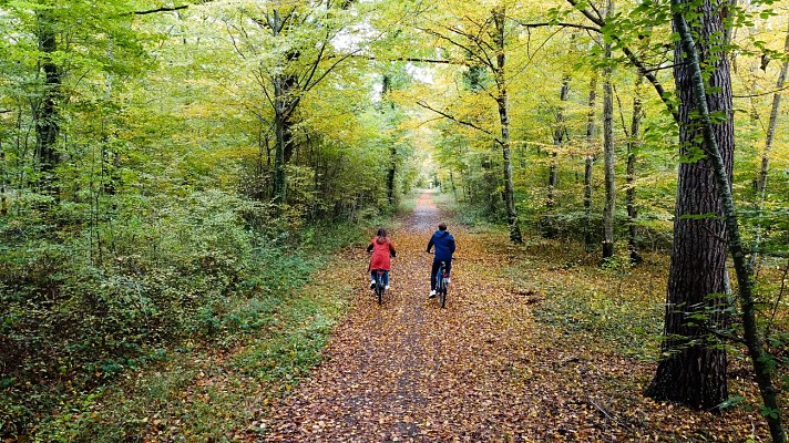 Forêt