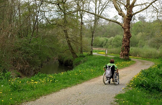 Fauteuil