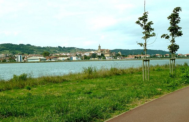 Rive