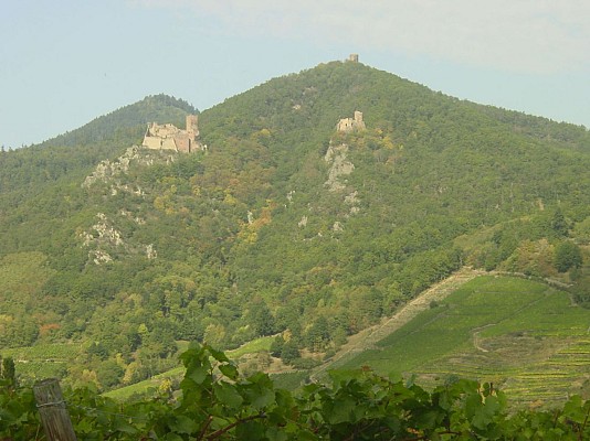 ALSACE CENTRALE : Les châteaux de Ribeauvillé (67)