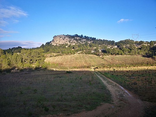 Le Pech-Agel (4)