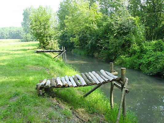 ALSACE CENTRALE : Le ried d'Ohnenheim (67)