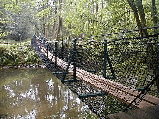 ALSACE CENTRALE : La forêt de l'Ill*Wald (67)