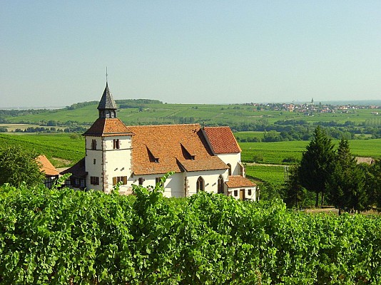 Alsace centrale: l'Ortenberg et le Bernstein (67)