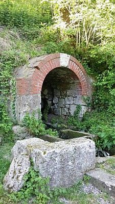 Photo 2_SauvagnasRoudoulous_2018