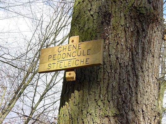 ALSACE CENTRALE : Le Grand Ried (67)