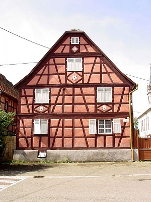 ALSACE CENTRALE : Trésors du Ried (67)