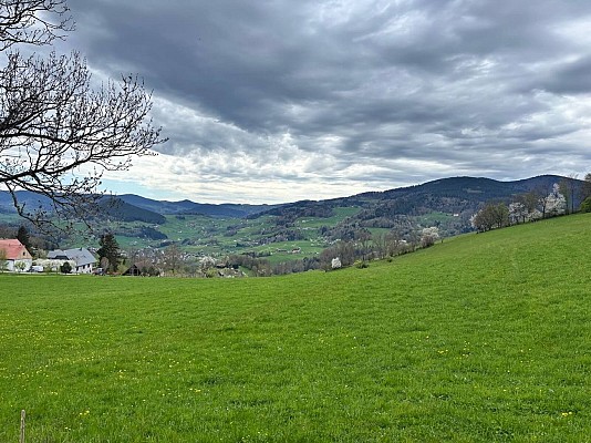 Circuit rando - de Lapoutroie au col de Chamont