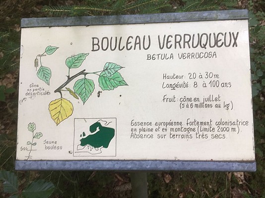 Arboretum