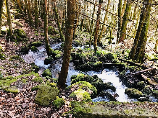 Circuit rando - sur les hauteurs d'Orbey