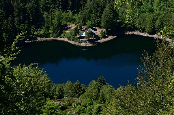Lacs du Neuweiher