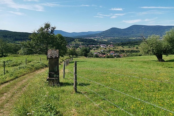 Chemin du Patrimoine ''Sur les traces de Wurzel''