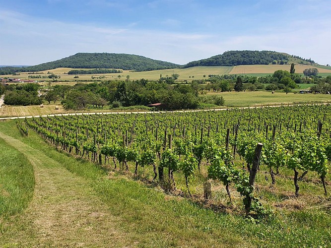 Circuit du Val des Nonnes