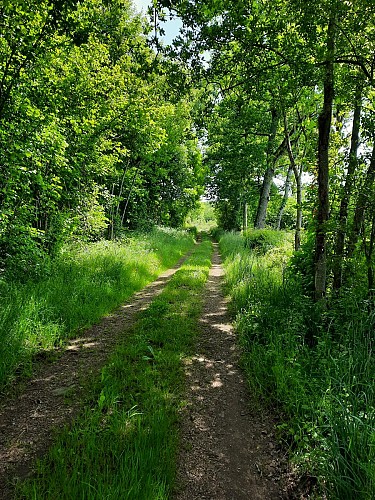 Balade à Vergheas_Vergheas