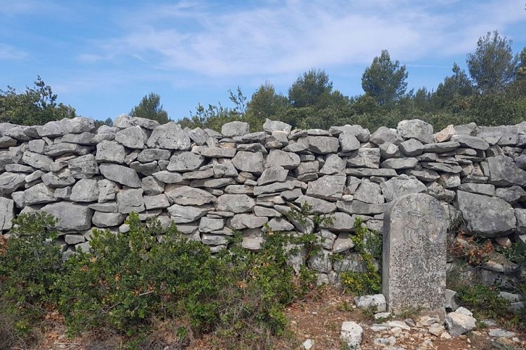 Mur de la Peste