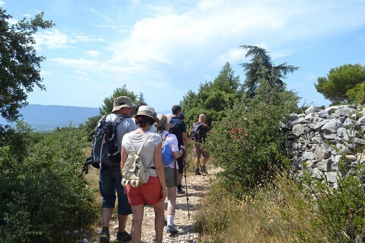 Sur le sentier du Mur de la Peste