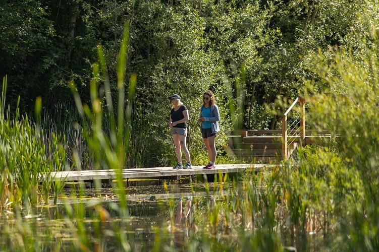 Sentier de randonnée - Ponts et moulins_Fillinges
