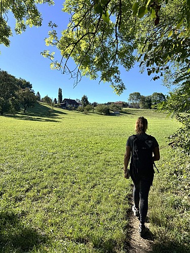 Sentier de randonnée - Ponts et moulins_Fillinges