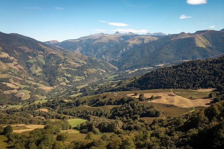 20 - VTT - PAYS BASQUE - Xiberoa - JONATHAN CATHALA-6