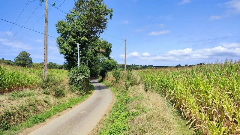 Petite route de la campagne - Randonnée Tréduder