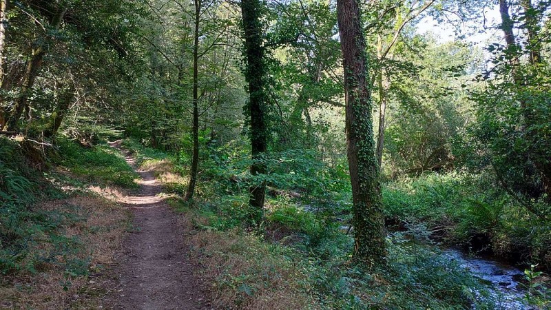 Chemin le long du Roscoat - Tréduder