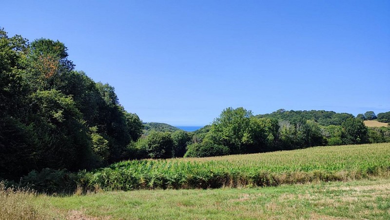 Vue sur la mer - Vallée du Roscoat - Tréduder