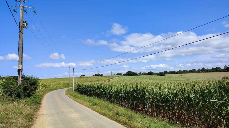 Route sur le plateau agricole - Plouzélambre