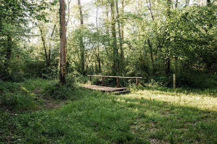 Family walk in the Laurentière forest