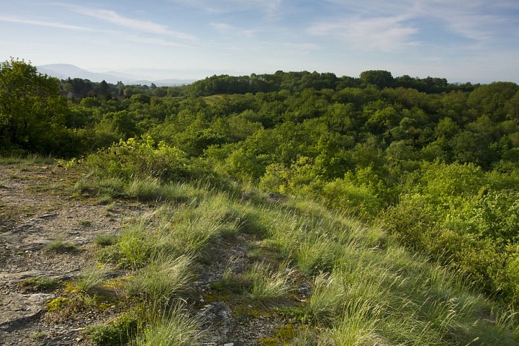 Walk to the roof of the Balme caves via the Saint-Roch slopes