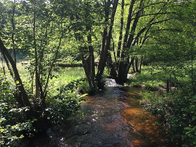 Chemin de la papeterie