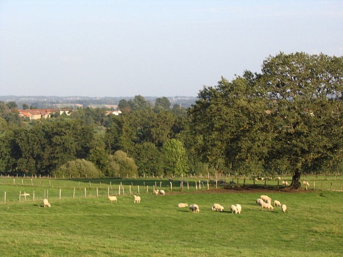 Sentier des bergères
